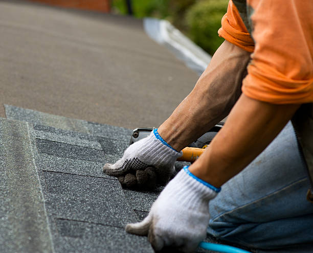 Quick and Trustworthy Emergency Roof Repair Services in Doney Park, AZ